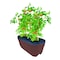 Emsco Group Self-Watering Rail Planter Grow Box, 24in Weatherproof Resin Planter, Up to 6in Railings, Brown 2435-1 - alternate 5